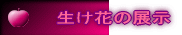 Ԃ̓W