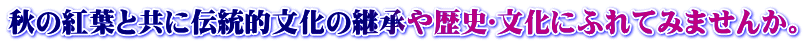 秋の紅葉と共に伝統的文化の継承や歴史･文化にふれてみませんか。