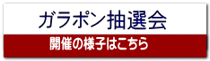 ガラポン抽選会 