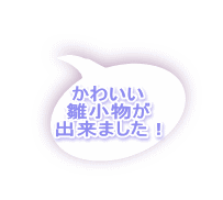 かわいい 雛小物が 出来ました！